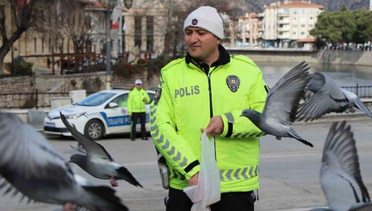 Trafik Polisi Güvercinleri Yemledi