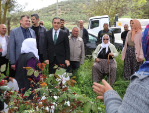 Burdur’da zeytin yetiştiriciliği projesi fidan dağıtımı yapıldı