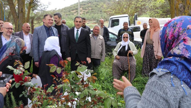 Burdur’da zeytin yetiştiriciliği projesi fidan dağıtımı yapıldı